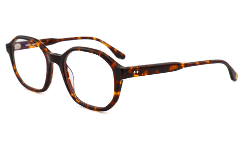 LT22 ISABELLE col.Tortoise